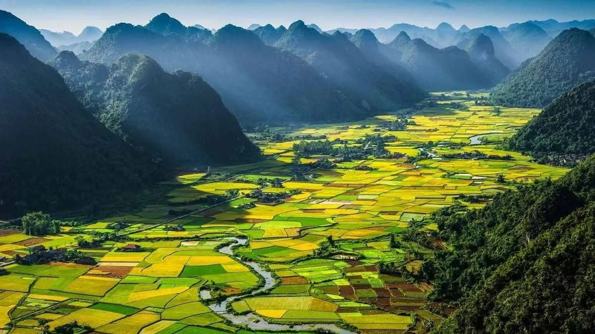 Trang Chủ